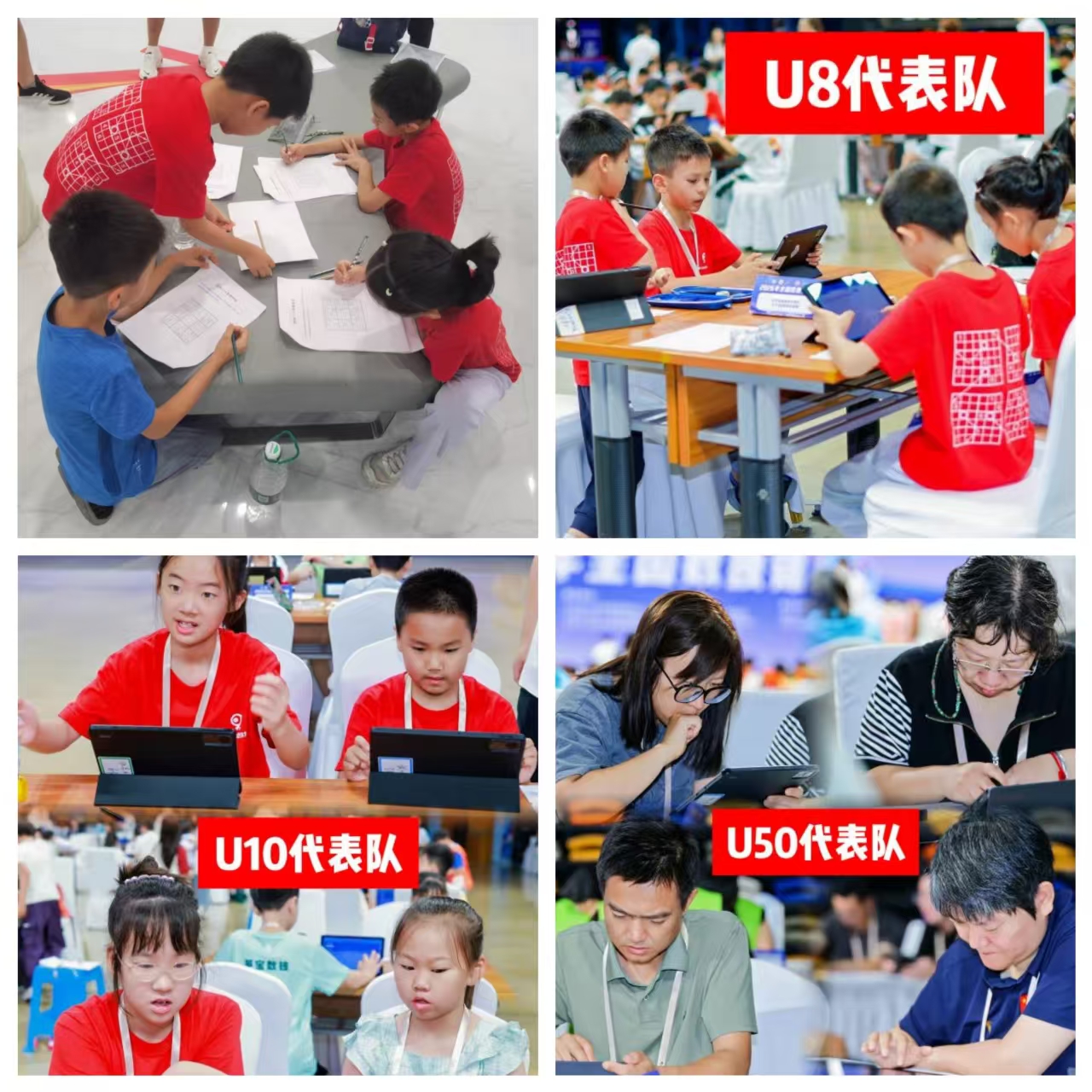 合集.jpg